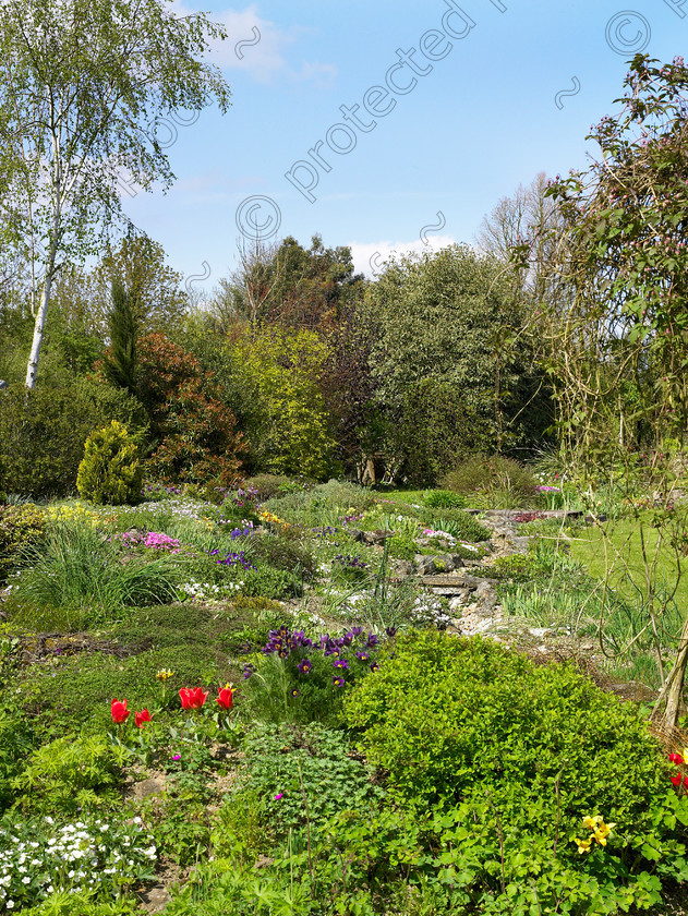 Loose-10 
 rock garden with dry stream. 
 Keywords: garden kent rockeries alpines flowers bungalow flower beds rockery dry stream