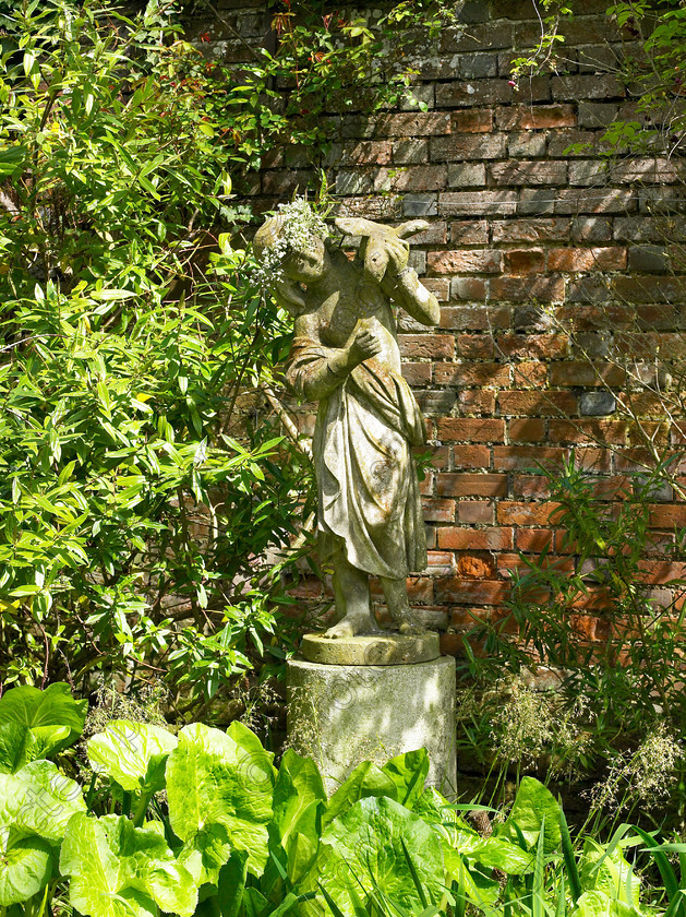 West Malling-10 
 The plan was that this young lady would be admiring her reflection in the water but the Kingcups, Water Arum & Iris that Anne brought from her old house & planted around the pond have grown too enthusiastically. 
 Keywords: garden Kent flowers flower beds pots scuplture town garden statues Kingcups Water Arum Iris