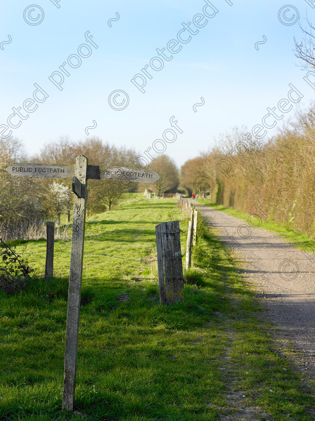 Cycle track-001 
 Style: "General" 
 Keywords: cycle, track, railway, line, abandoned, west, sussex, countryside, U.K., walkers, ramblers, cycling, footpath, public,