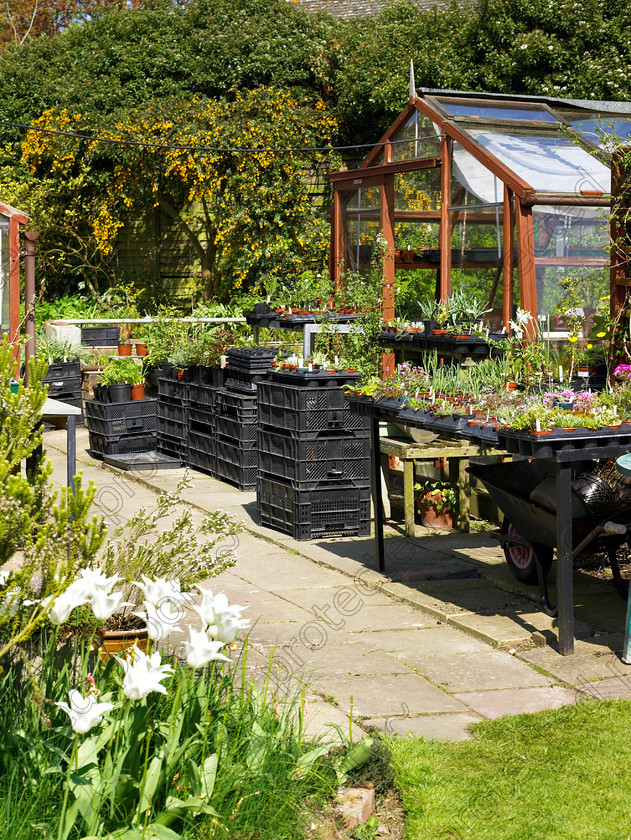 Loose-16 
 Mike is trying to cut down on his propagating but his greenhouse is still overflowing 
 Keywords: garden kent rockeries alpines flowers bungalow flower beds rockery greenhouse propagating