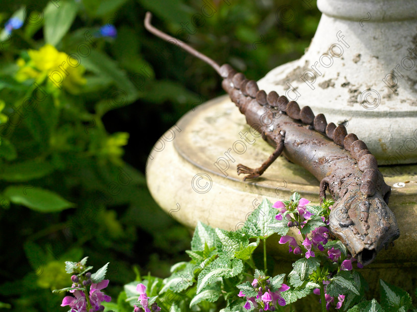 West Malling-11 
 A lizard basks in the sun on the base of a pot. 
 Keywords: garden Kent flowers flower beds pots scuplture town garden statues lizard