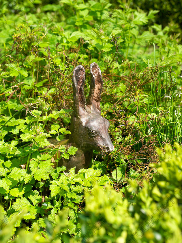 West Malling-13 
 A hare watches cautiously from its shelter in the planting. 
 Keywords: garden Kent flowers flower beds pots scuplture town garden statues hare