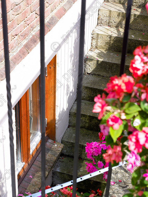 Surrey-009 
 Keywords: flowers, brick, railings, home, house, england, cellar, steps, stairs