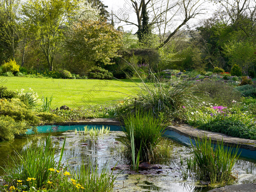 Loose-23 
 Mike & Hazel are considering giving up on the pond & turning it into a bog garden after a Heron ate all the fish & destroyed the liner. 
 Keywords: garden kent rockeries alpines flowers bungalow flower beds rockery pond