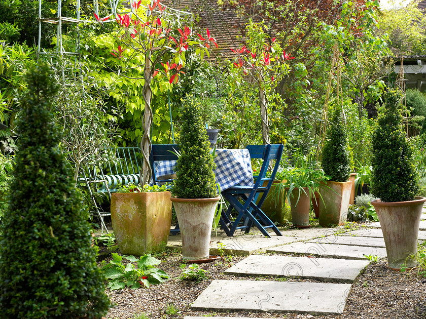 West Malling-3 
 Because of the tall trees surrounding the garden, Anne has given up on grass & gravelled this part of her garden. 
 Keywords: garden Kent flowers flower beds pots scuplture town garden statues gravel paving slabs