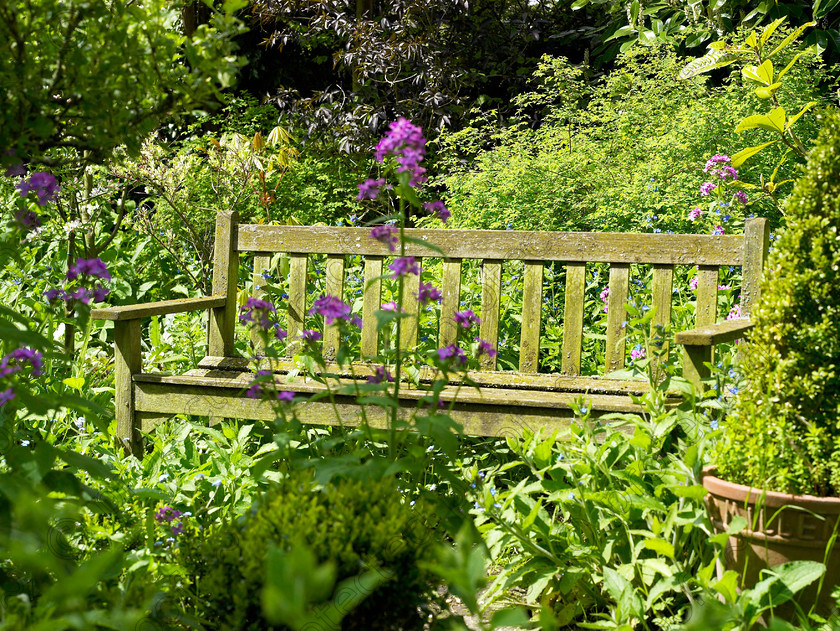 West Malling-22 
 Seats have been absorbed into the planting in the wild garden. 
 Keywords: garden Kent flowers flower beds pots scuplture town garden statues bench wild garden