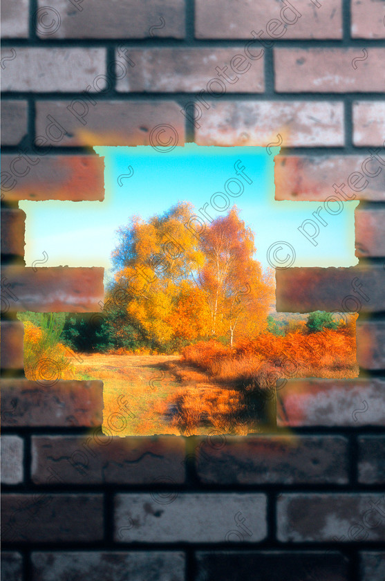 Brick Wallc 
 Keywords: bricks, wall, autumn, orange, hole, landscape, countryside,