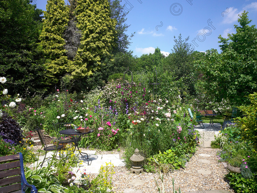 Wildlife garden-29 
 The interesting mix of paving & shingle on the paths & seating areas blend well with the planting. 
 Keywords: garden sussex flowers wildlife wild shingle paths seating planting