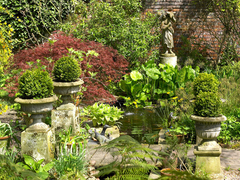 West Malling-5 
 Box grown from cuttings from her old garden are used as punctuation marks along a path. 
 Keywords: garden Kent flowers flower beds pots scuplture town garden statues box