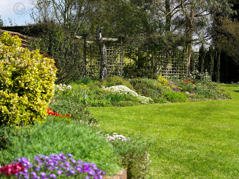 Loose-4 
 This raised bed & rockery is backed by the pergola 
 Keywords: garden kent rockeries alpines flowers bungalow pergola